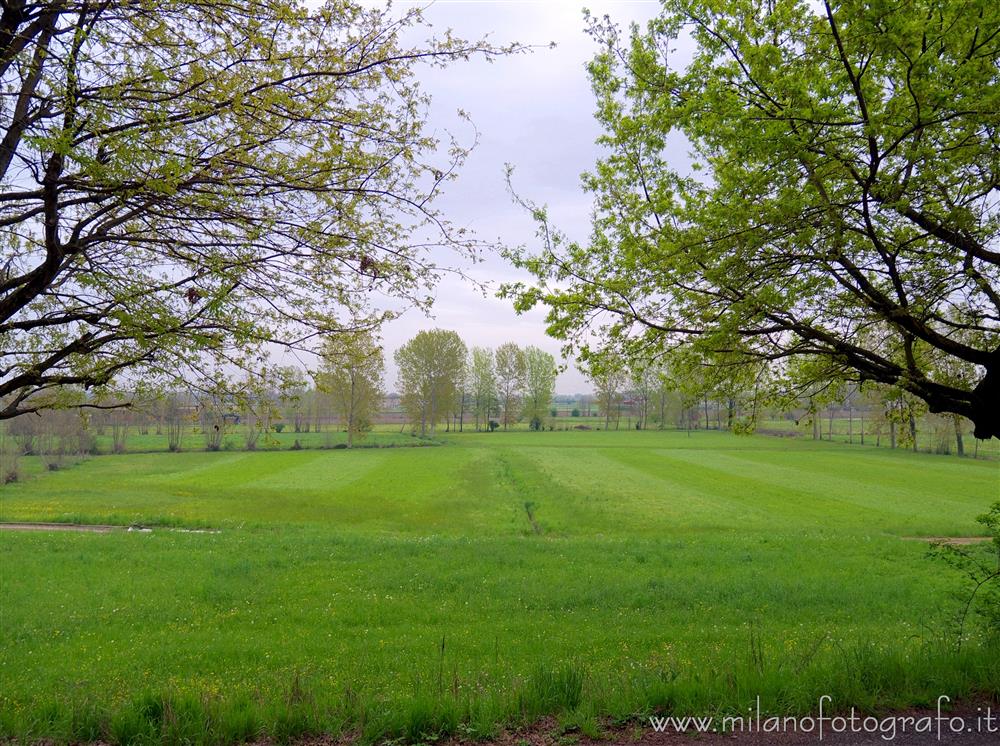 Soncino (Cremona, Italy) - Spring countryside